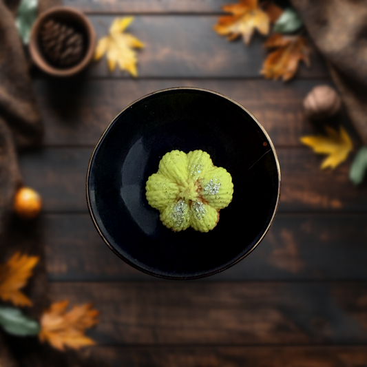 Lemon Spell